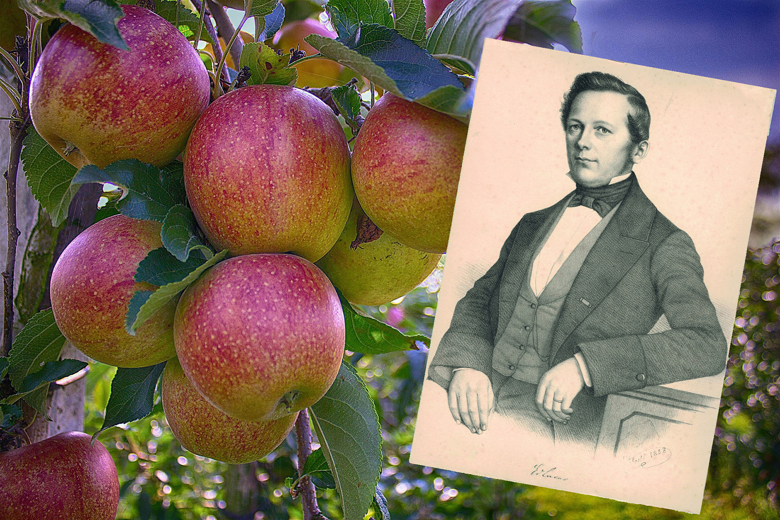 Eduard Lucas Sonderausstellung über den Hohenheimer ObstbauPionier