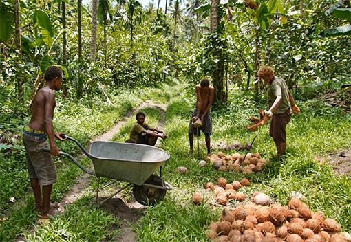 In der Rhön bietet die Kokosnuss Kampagne ein außergewöhnliches natives Bio Kokosöl an - ein 
