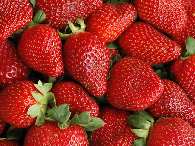Was macht das Aroma reifer Erdbeeren so unverwechselbar? Wissenschaftler haben herausgefunden, wie der Geruchsstoff auf molekularer Ebene gebildet wird. (Foto: J. Pecha/iStockphoto)