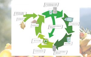 Wie verhalten sich biobasierte Kunststoffe in etablierten Recyclingsystemen?