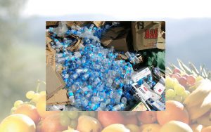 Upcycling von PET-Flaschen: Neue Ideen für einen Wertstoffkreislauf in Deutschland