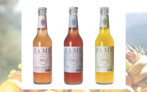 Bioaktive Pflanzenstoffe mit Superkräften und tausendjähriger Tradition: JAMU Organic Spices rollt den Markt der Wellnessgetränke auf