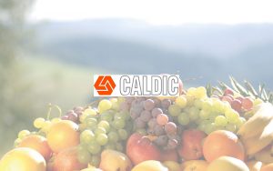 Caldic und Cargill vereinbaren eine exklusive Vertriebspartnerschaft für Stärken, Süßstoffe und Texturierungsmittel in Deutschland und Österreich