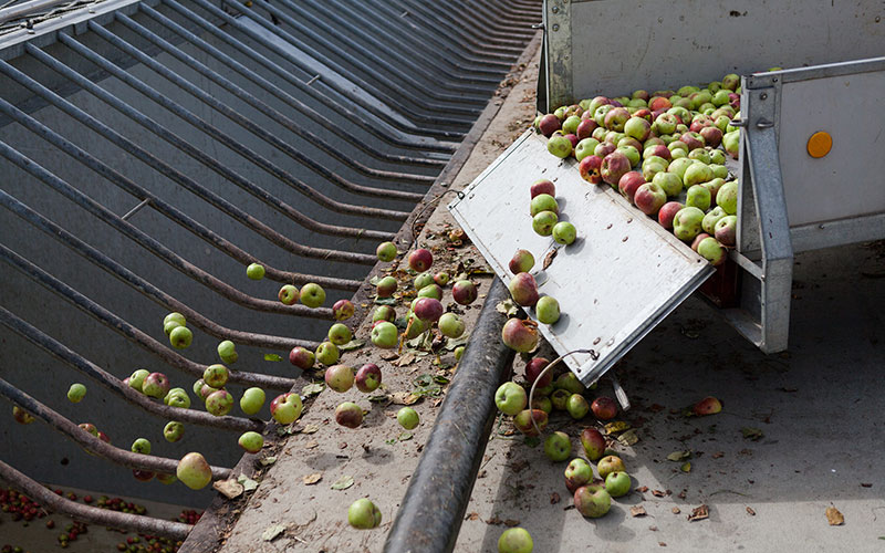 VdF veröffentlicht Endergebnis – Niedrigste Apfelsaftmenge seit 1991 gekeltert