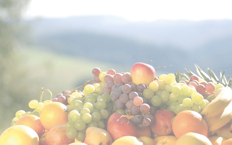 Äpfel aus der Region Trentino-Südtirol: Aktueller Lagerbestand online