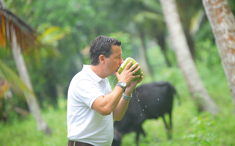 Eine Option für die Fruchtsaftindustrie: Beimischen von Kokossaft