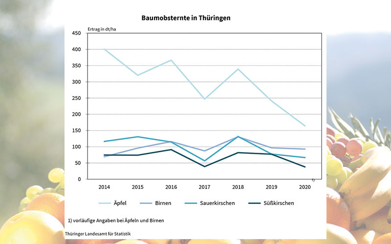 Vorschätzung für die Thüringer Baumobsternte 2020