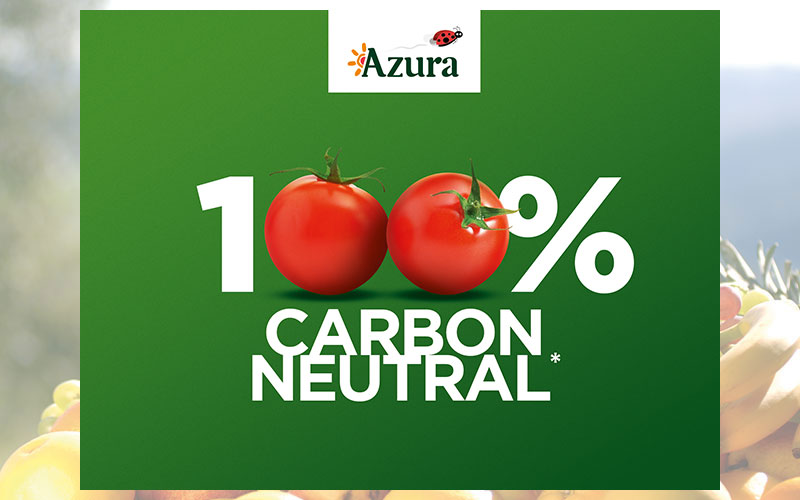 Azura-Gruppe wird 2020 weltweit als erster Tomatenproduzent und Lieferant für den Großhandel zu 100 % klimaneutral
