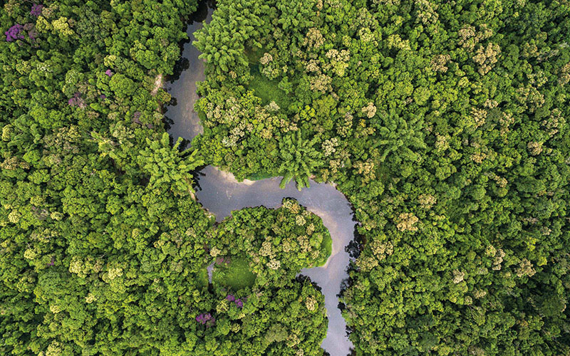 Eckes-Granini ist ab dem 1. Januar 2021 europaweit klimaneutral und schützt jährlich 17.872 Hektar Wald im Amazonasgebiet