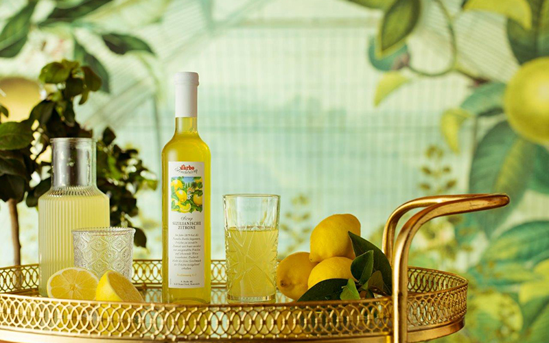 Darbo: Stabile Entwicklung in einem fordernden Geschäftsjahr 2020