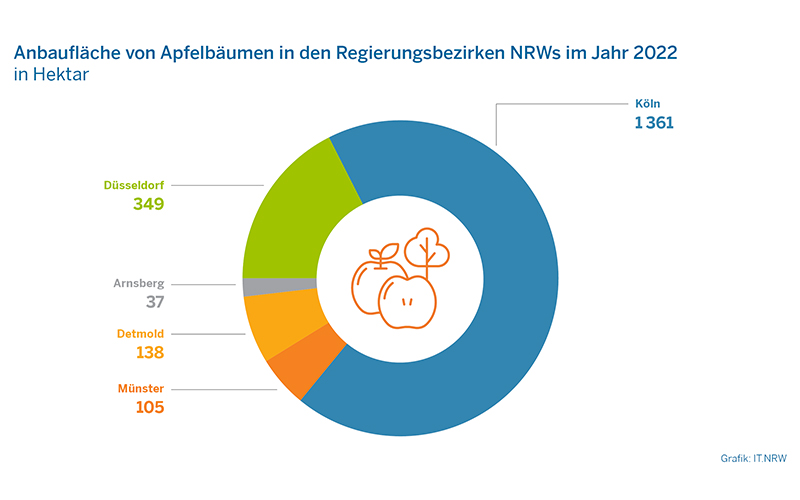 Ein Prozent mehr Anbaufläche für Obstbäume in Nordrhein-Westfalen