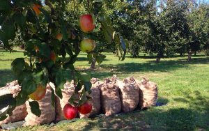 beckers bester: Da most Du hin!