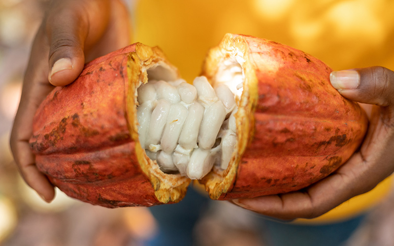 Neuer Kakaofrucht Balsam-Essig: vomFASS und Koa bündel ihre Kräfte, um Kakaobauern ein zusätzliches Einkommen zu ermöglichen
