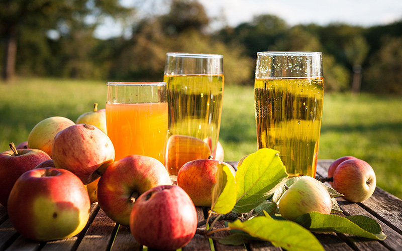 Fruchtsaftverband spricht sich für Senkung der Mehrwertsteuer auch auf Saft aus