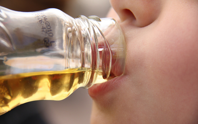 Bedeutend für die Entwicklung von zucker- und fettreduzierten Lebensmitteln: Forschungsteam optimiert enzymatische Synthese von Ballaststoffen aus Saccharose