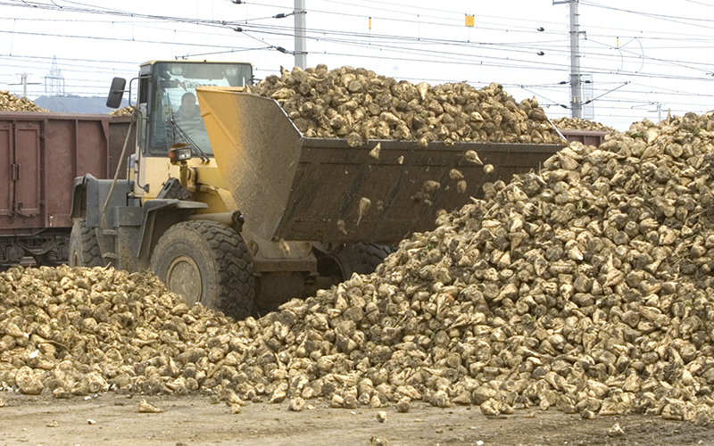 AGRANA erwartet nunmehr sehr deutlichen EBIT-Rückgang im Geschäftsjahr 2024/25