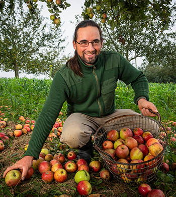 Erfolgreiche Apfelannahme für die Bayrische Natursaft Kelterei