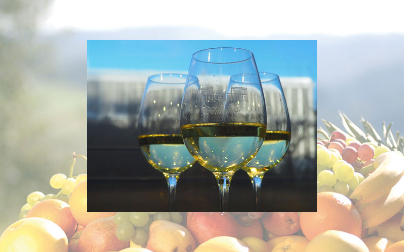 Aromenvielfalt aus dem Traubentrester: Ein Schlüssel zur Qualitätssteigerung von alkoholfreien Weinen und Sekten