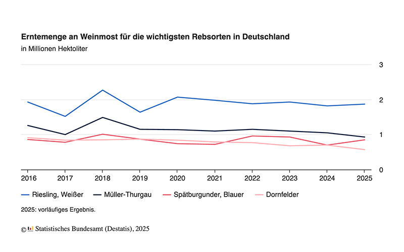 Weinernte 2025 voraussichtlich um 5 % höher als im Vorjahr