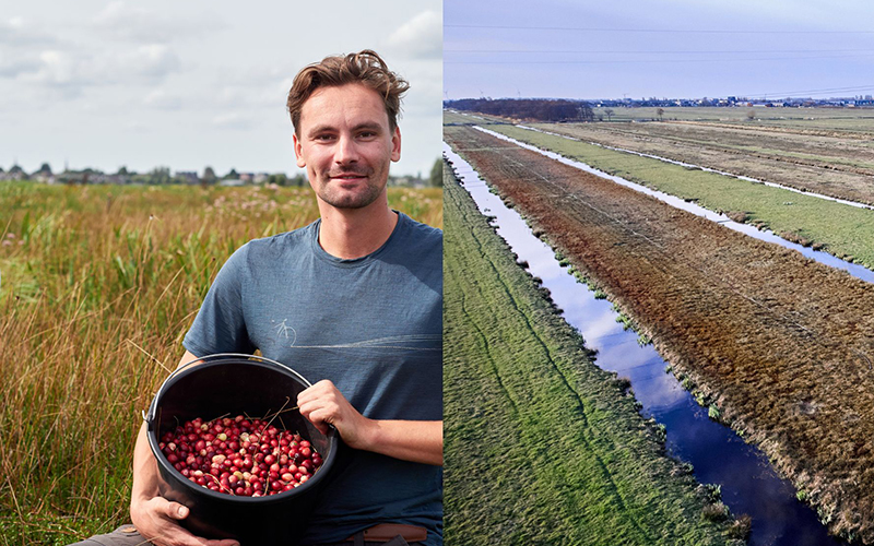 Eosta erweitert Bio-Cranberry-Programm in den Niederlanden – Biologischer Anbau trägt zum Schutz wertvoller Moorlandschaften bei