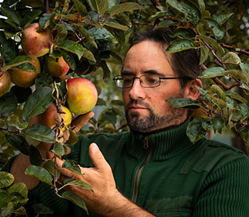 Wolfra setzt auf regionale Streuobstkultur