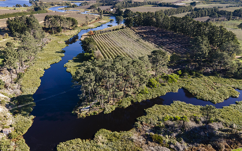 Projektarbeit zu Wasser- und Biodiversitätsrisiken: EDEKA-Verbund übernimmt Vorreiterrolle bei Süßwasserschutz- und Biodiversitätsprojekten im Handel