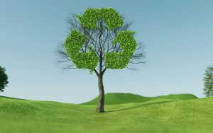 Studie zeigt: Mehrweg statt Einweg reduziert die Klimabelastung durch Glasverpackungen enorm